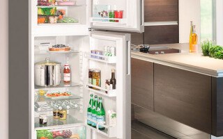 Kurį šaldytuvą geriausia rinktis namams - Geriausi šaldytuvai pagal kainą